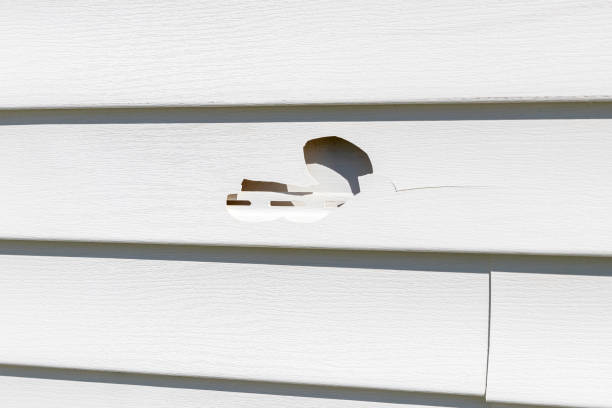 Best Residential Vinyl Siding Installation  in Fest Grove, OR